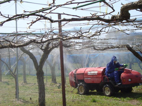 化学的な防除写真