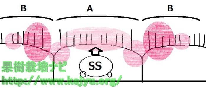 １列走行した時の薬剤付着モデル