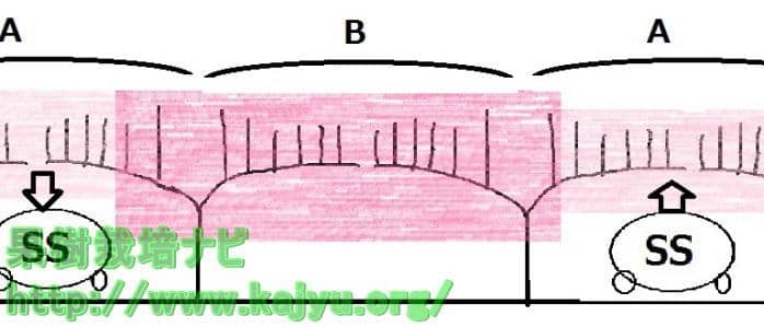 間を空けて走行した時の薬剤付着モデル