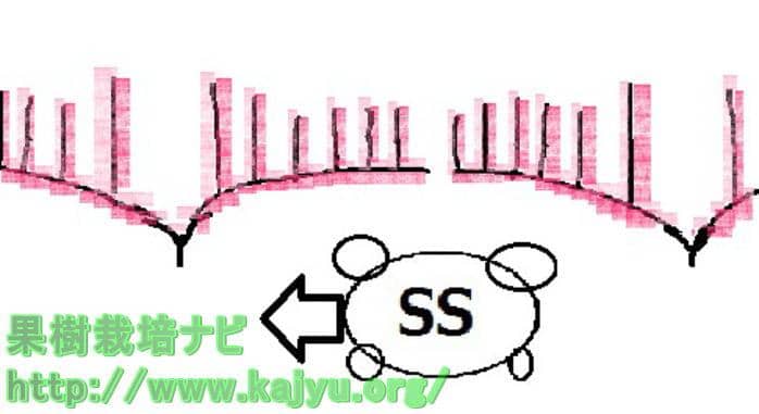 走行方向に対する薬剤付着モデル