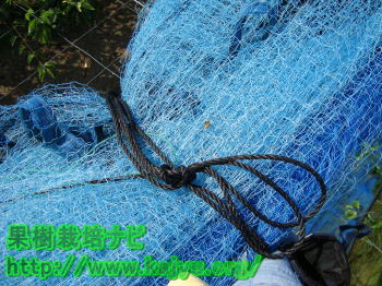 纏まった防鳥ネット写真