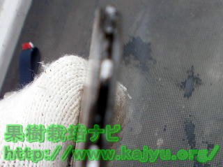 スプロケット 滑車