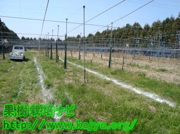 園芸の土作り写真