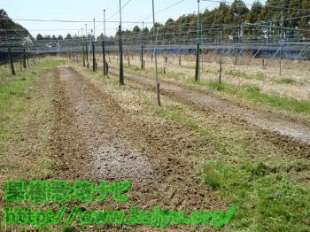 園芸の土づくり完了写真