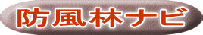 防風林ナビ