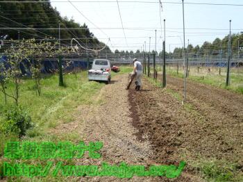 有機肥料の散布写真