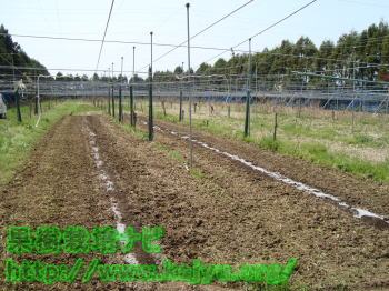 有機肥料と化学肥料の散布写真