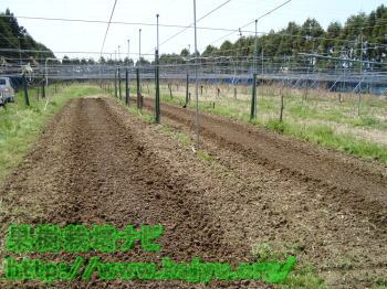 肥料の使用完了写真