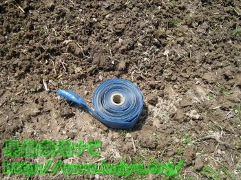 潅水チューブの写真