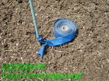 潅水チューブの設置写真