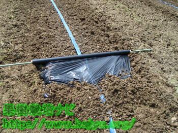 マルチを伸ばす画像