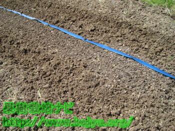 完成した園芸畝画像