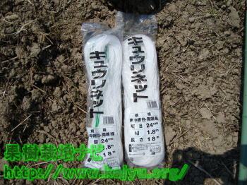 キュウリネットの写真