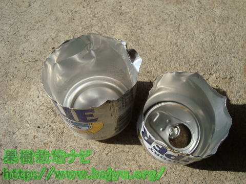 ナメクジビール罠写真