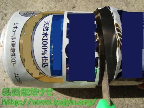 ナメクジ罠を作成写真