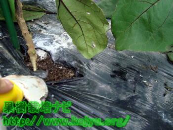 肥料の場所写真