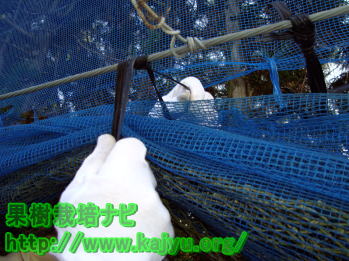 防風ネット写真2