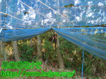 防風ネット写真3