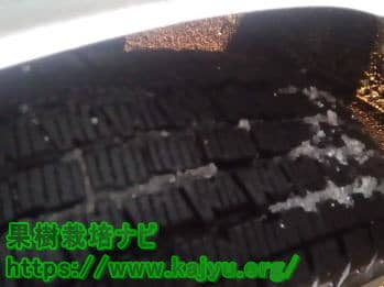 W300タイヤトレッド