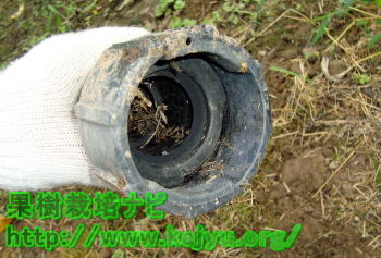 ジョイント写真