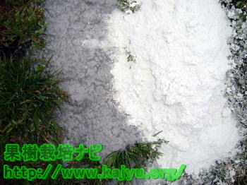 石灰の比較写真