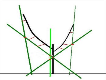 梨の剪定1 苗木～3年目頃