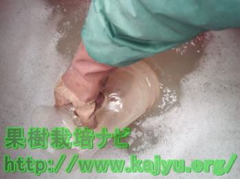 補助撹拌の実施