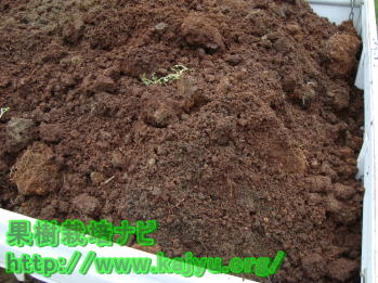 発酵した堆肥写真