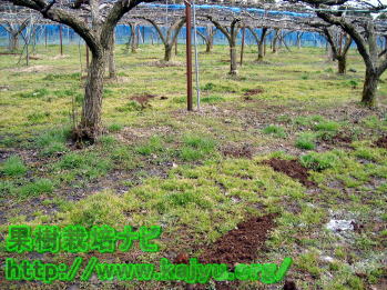 散布された肥料写真